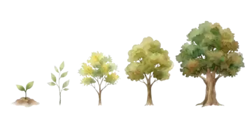 Nature Seed tree growth restoration asset